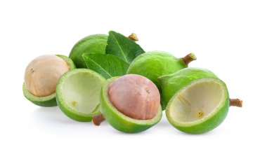 Beyaz arka planda izole edilmiş Macadamia fındıkları.