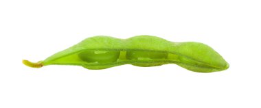 Soya fasulyesi beyaz arkaplanda izole