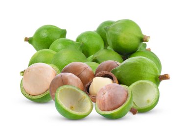 Beyaz arka planda taze Macadamia fındığı