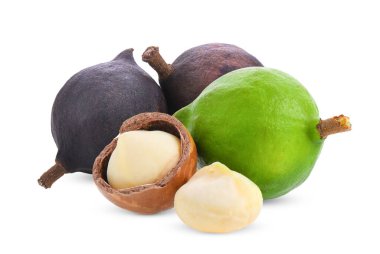 Macadamia beyaz arkaplanda izole edildi