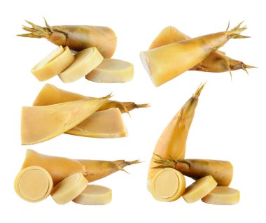 Beyaz arkaplanda bambu filizleri