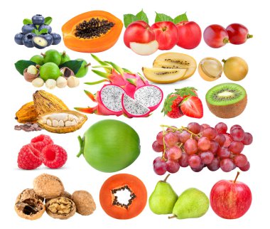 böğürtlen; papaya; şeftali; macadamia; ejderha meyvesi; kakao; kivi; hindistan cevizi; ahududu; üzümlü; ceviz; burma üzümü; kivi; armut; beyaz zemin üzerinde elma