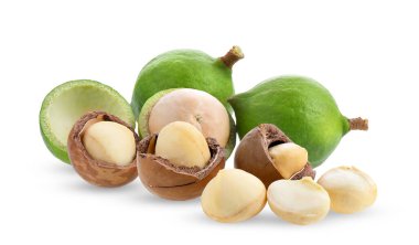 Beyaz arka planda izole edilmiş Macadamia fındıkları