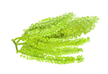 Beyaz arkaplanda deniz yosunu (yeşil havyar)