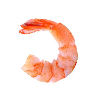 beyaz arkaplanda karidesler