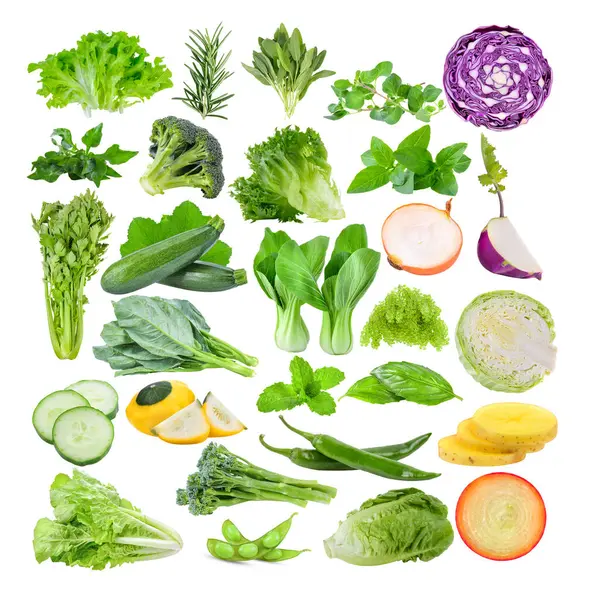 marul; biberiye; oregano; oregano; brokoli; tatlı fesleğen; kereviz; kabak; bok choi; deniz üzümü; nane; Çin lahanası; salatalık; patti pan patisson squash; lahana; lahana; cos; mor kohlrabi; lahana; beyaz zemin üzerinde patates