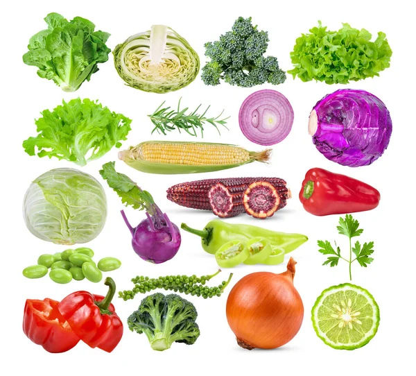 Cos Cabbage Broccoli Lettuce Rosemary Corn Kohlrabi Onion Pepper Parsley — Stock Photo, Image