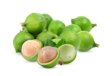 Beyaz arka planda taze Macadamia fındığı