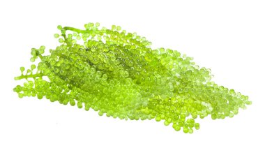 Beyaz arkaplanda deniz yosunu (yeşil havyar)