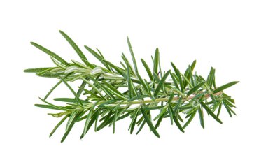 Beyaz arkaplanda taze biberiye izole edildi