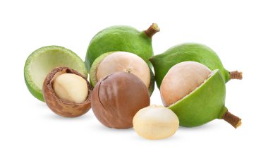 Beyaz arka planda izole edilmiş Macadamia fındıkları