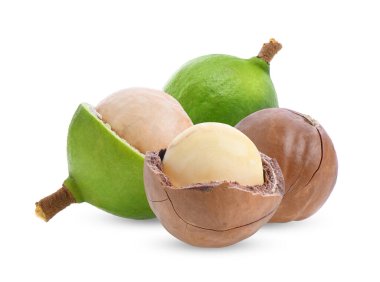 Beyaz arka planda izole edilmiş taze Macadamia fındıkları.