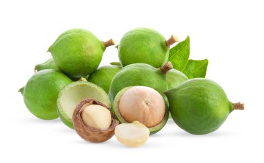 Macadamia beyaz arkaplanda izole edildi