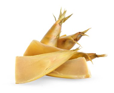 Beyaz arkaplanda bambu filizleri