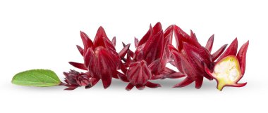 Roselle beyaz arkaplanda izole edildi