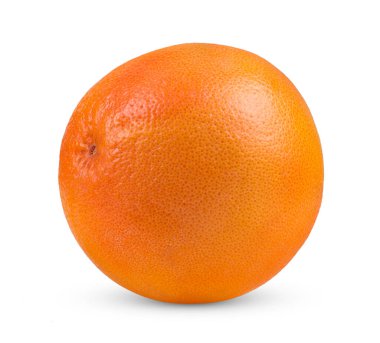 greyfurt beyaz arkaplanda izole