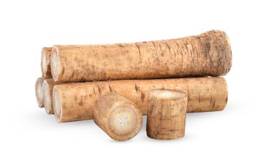 Beyaz arka plan üzerinde taze dulavratotu kökü