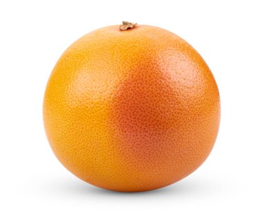 greyfurt beyaz arkaplanda izole