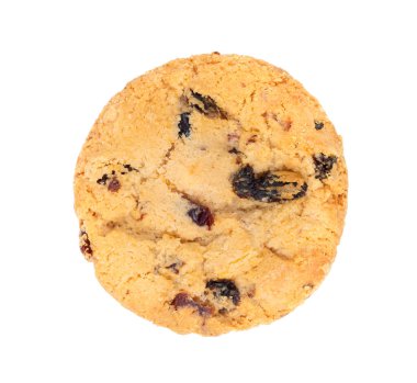 Beyaz arka planda yaban mersinli kuru üzümlü kurabiye.