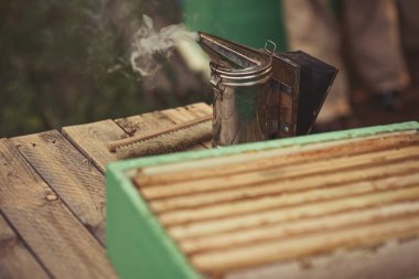 Doğal arıcı, kovanlardan bal toplamaya çalışıyor.