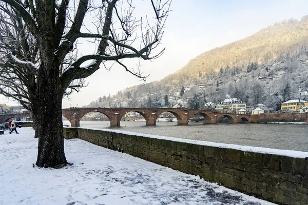 Kar nehri Nekar ile Heidelberg sokaklarında yürüyor.