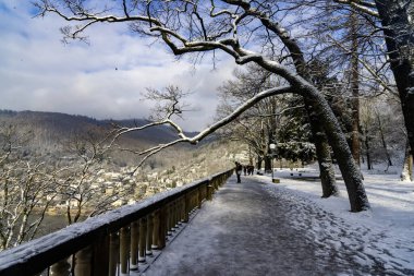Heidelberg kalesinin bahçesinde karla yürüyorum.