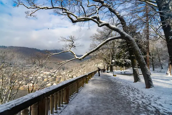 Heidelberg kalesinin bahçesinde karla yürüyorum.