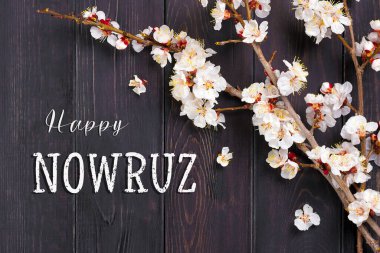 Sprigs of the apricot tree with flowers Text Happy Nowruz Holiday Concept of spring came Top view Flat lay Hello march, april, may, persian new year. clipart