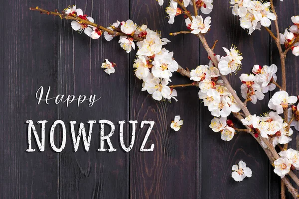 Kayısı Ağacının Tomurcukları Çiçeklerle Mutlu Nowruz Tatil Yazısı Üst Manzara — Stok fotoğraf