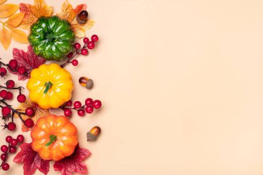 Sonbahar bej arkaplan üzerinde balkabakları, gül kalçaları, böğürtlenler, kırmızı ve turuncu akçaağaç yaprakları ve palamutlarla yatar. Uzayı kopyala.