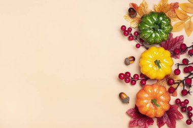 Sonbahar bej arkaplan üzerinde balkabakları, gül kalçaları, böğürtlenler, kırmızı ve turuncu akçaağaç yaprakları ve palamutlarla yatar. Uzayı kopyala.