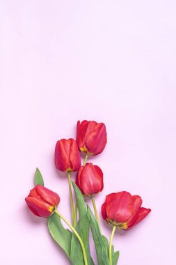 Kırmızı lale buketi pembe arka planda yatar Düz manzaralı Tatil kartı Mutlu moter günleri, 8 Mart, Sevgililer günü, Paskalya konsepti Boşluğu kopyala.
