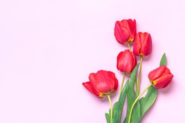 Kırmızı lale buketi pembe arka planda yatar Düz manzaralı Tatil kartı Mutlu moter günleri, 8 Mart, Sevgililer günü, Paskalya konsepti Boşluğu kopyala.