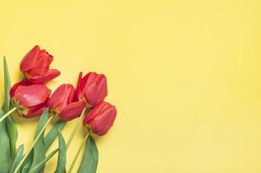 Sarı arka planda kırmızı lale buketi. Düz manzara. Tatil kartı yatar. Mutlu moter günleri, 8 Mart, Sevgililer günü, Paskalya konsepti..
