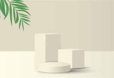 Geometrik şekilli ürün sunumu için soyut 3d podyum, boş yuvarlak podyum, ürün sunumu için platformlar ve gölgeler ve ışık, Podyum 3D tropikal yapraklı boş pastel.