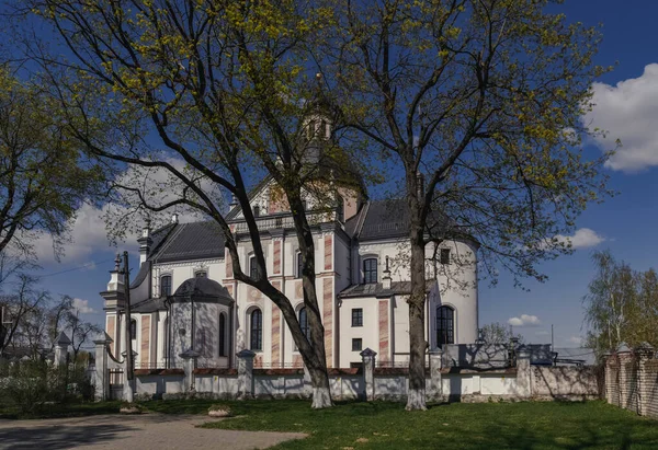 Nesvizh Deki Tanrı Nın Cemaati Kilisesi Radziwill Prenslerinin Aile Mezarlığı — Stok fotoğraf