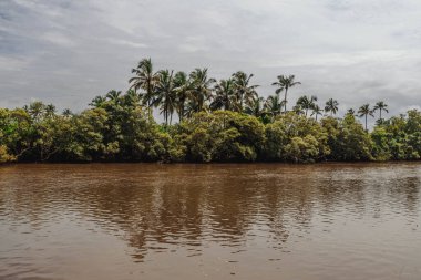 Goa 'daki Baga Nehri, aynı adı taşıyan Baga bölgesinde akıyor..