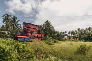 Goan doğasının resimli manzaraları. Hindistan.