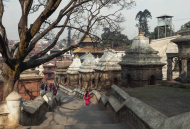 SRI PASHUPATINATHA, NEPAL 'İN MERKEZİ TEMPLEKSİ