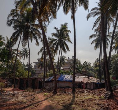 Calangute şehir gibi olmayan bir şehirdir. Goa mı? Hindistan