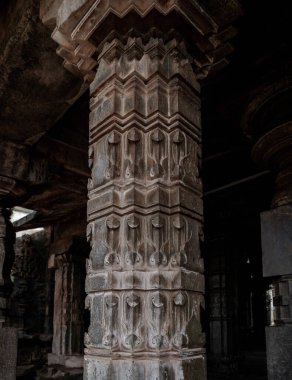 Brahma Jinalaya, Hindistan 'ın başkenti Karnataka' da yer alan bir Mahavira tapınağıdır..