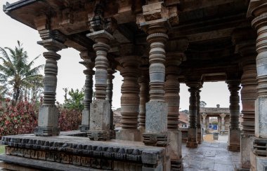 Halebidu 'da Jain hoysala kompleksi. Karnataka. Hindistan.