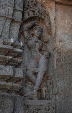 Hindistan Belur 'daki Hoysala tapınaklarının karmaşık oyma ve heykelleri.