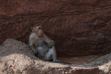 Badami Mağaraları Hindistan 'ın Karnataka eyaletinde eşsiz bir mimari komplekstir..