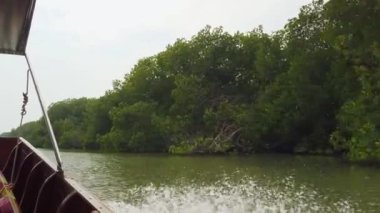 Bangkok, Tayland ve Güneydoğu Asya 'daki kanal boyunca Mangrov ormanlarının ve yerel toplulukların güzel manzaralı geleneksel ahşap bir kuyruk teknesini alın. Geleneksel uzun kuyruk teknesine binin..