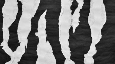 Siyah ve Beyaz Yırtık Kağıt Kolajı Biçimi, Yırtılmış Kağıt Efekti, Doku Soyut Arkaplan, Metin için Boşluğu Kopyala.