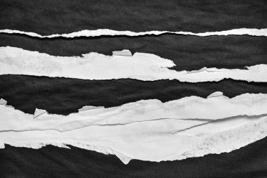 Siyah ve Beyaz Yırtık Kağıt Kolajı Biçimi, Yırtılmış Kağıt Efekti, Doku Soyut Arkaplan, Metin için Boşluğu Kopyala.
