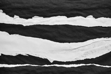 Siyah ve Beyaz Yırtık Kağıt Kolajı Biçimi, Yırtılmış Kağıt Efekti, Doku Soyut Arkaplan, Metin için Boşluğu Kopyala.