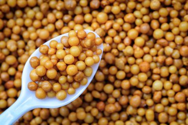 Kapatın, beyaz plastik çay kaşığında kontrollü gübre bırakın.