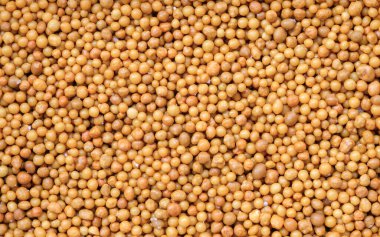 Kontrollü serbest bırakılan gübrelerin üst görünümü